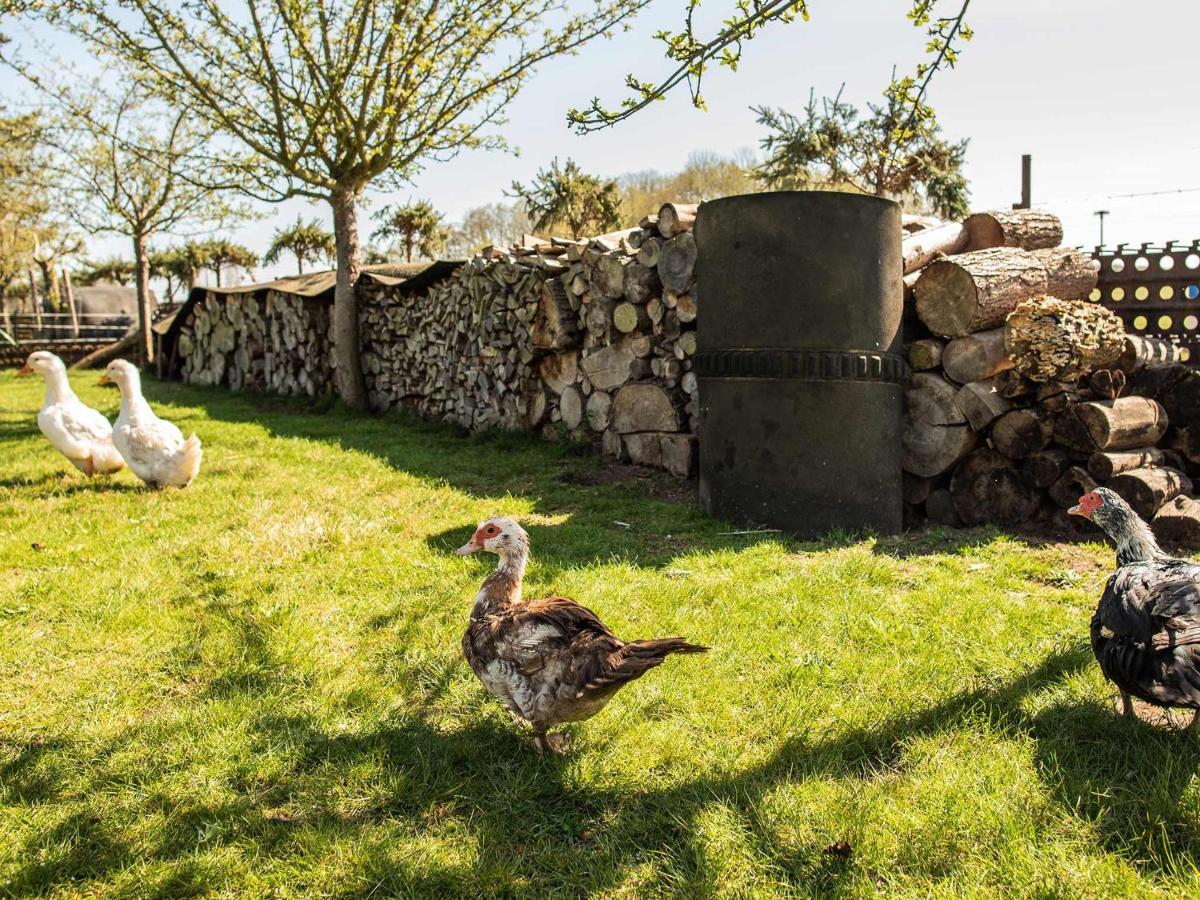 Vila Hof Lewin Dargen Exteriér fotografie